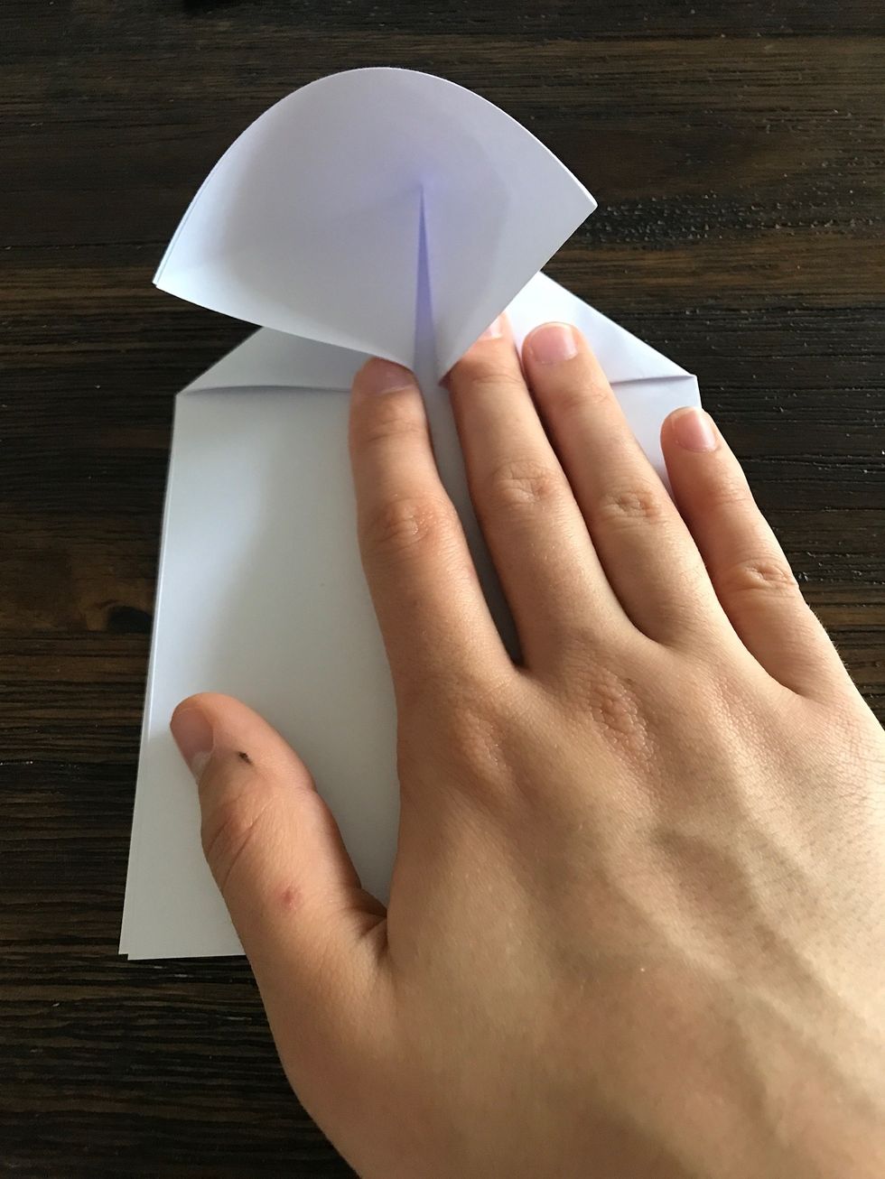 Using the creases a guide, fold in the triangles as pictured.
