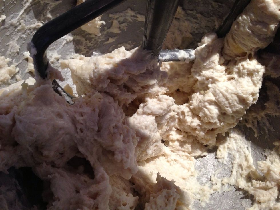 Using the flat beater, mix for a couple minutes on speed 2 until a dough forms.