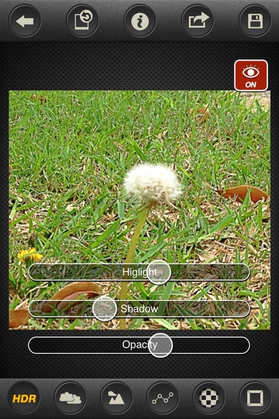 Using the HDR FX photo editing app you can adjust the brightness and contrast. It is important to use just enough to make your photo look great but not to make you picture look over-edited or cheesy.