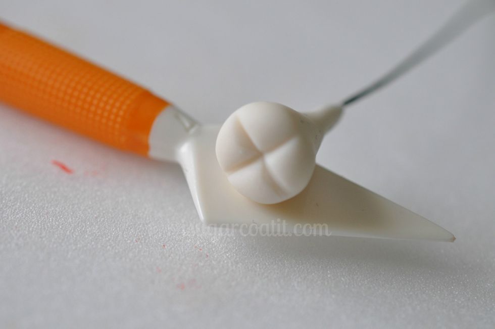 Using the knife tool, indent an 'x' on the flat side of the bud.