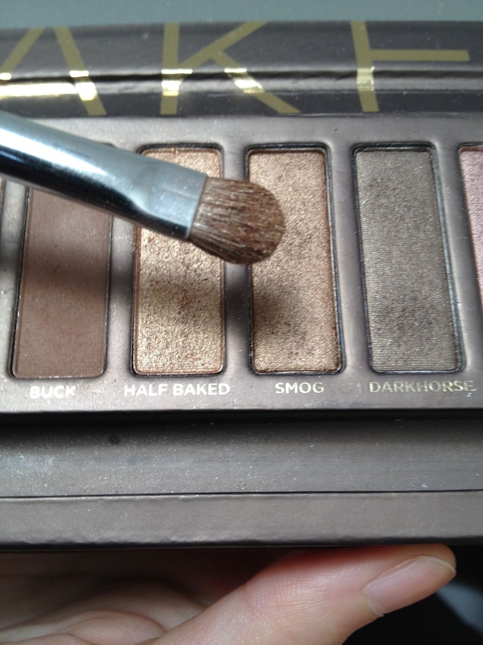 Using the other side of your c-shaped eyeshadow brush, dab the copper brown shade "Smog".