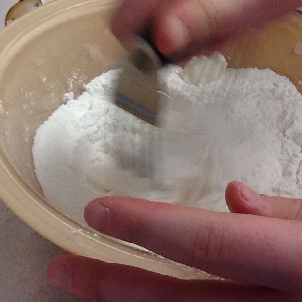 Using the pastry blender, cut the shortening into the mixture until crumbly. *Only cut until crumbly, nothing more!* Set this aside.