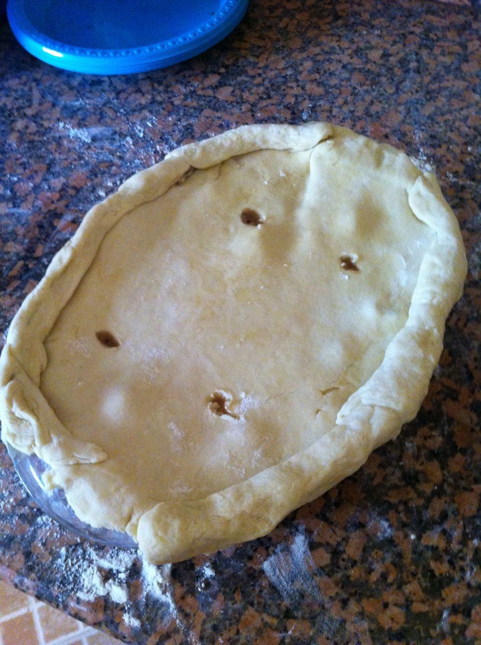 Using the pastry dough, cover the plate with it, and seal the sides with a thicker dough to make sure it's sealed. And make some hole on the top