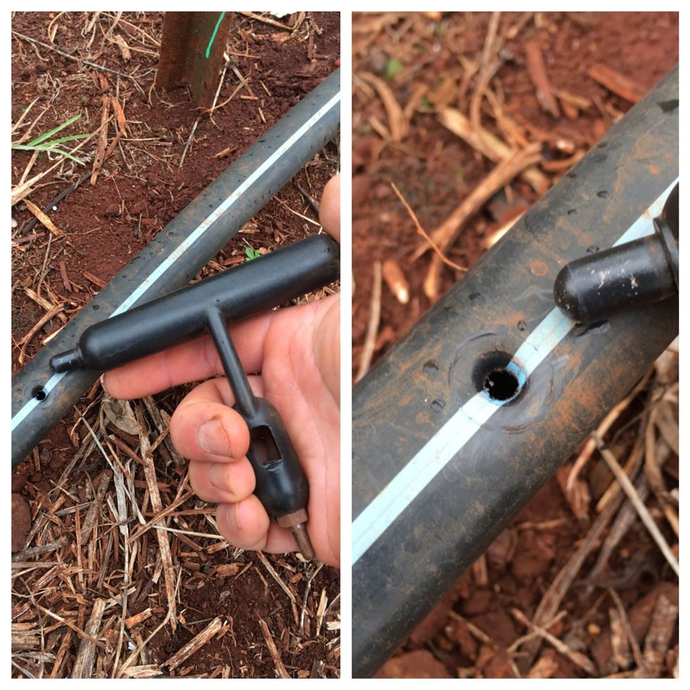 Using the the larger side of the punch expand the hole.