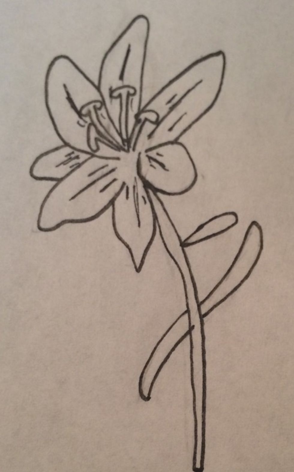 Using your permanent marker, outline the stamen, detail marks, and leaves, erase the rest of the pencil marks