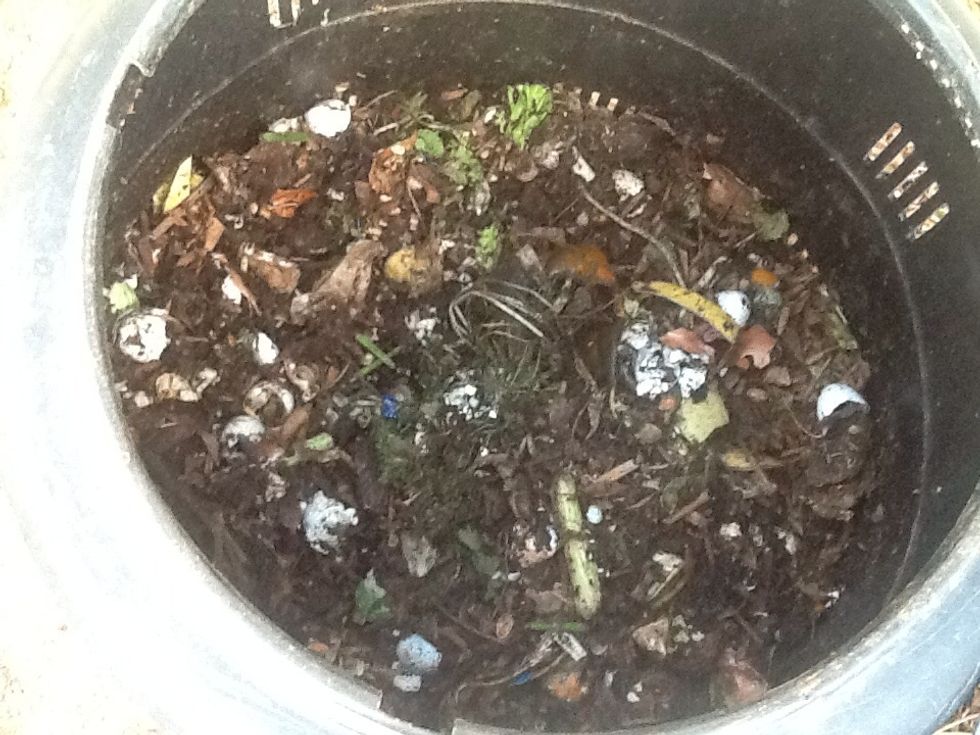 Vegetables, fruits, egg shells, paper, sawdust, tea bags, coffee grounds, grass clippings, and leaves compost well.  Give it a stir with a shovel once a month.  Water if too dry, like AZ.