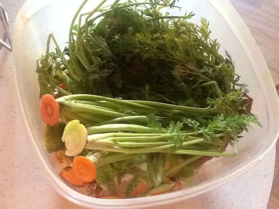 Vegetables, leaves, small limbs, and sawdust are all ok in the compost pile.