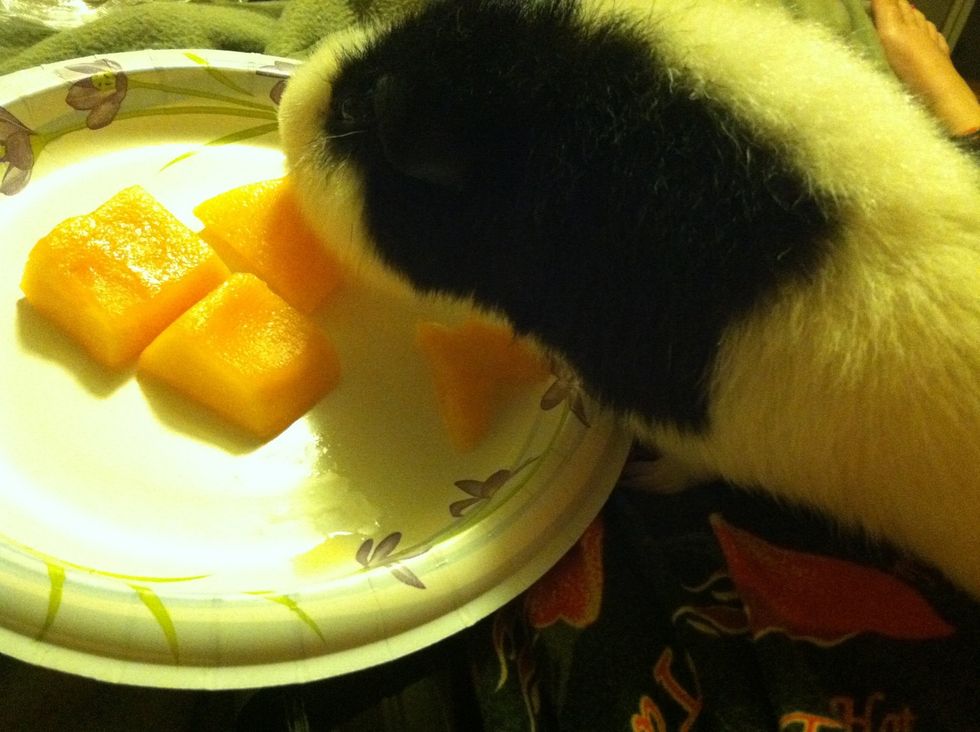 Veggies every day are a must! Fruits can be given as a treat. :)