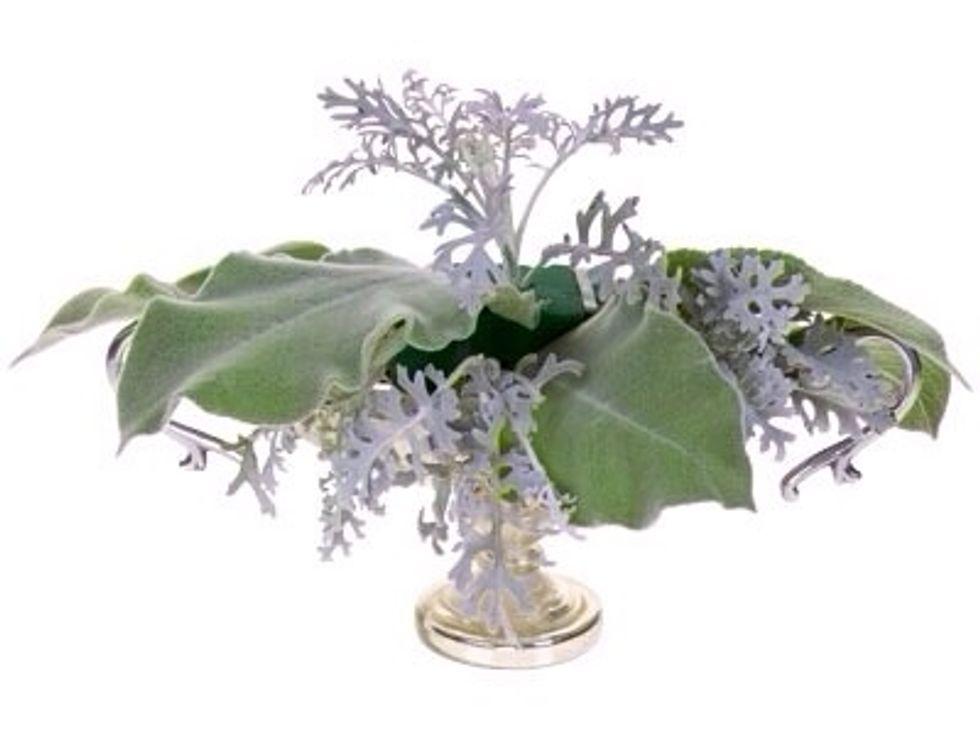 Velvety lambs ear and soft dusty miller are placed in a radial patter around the base of the container and upward to create a bed for the roses. Place the foliage 2" into the foam so they can drink.