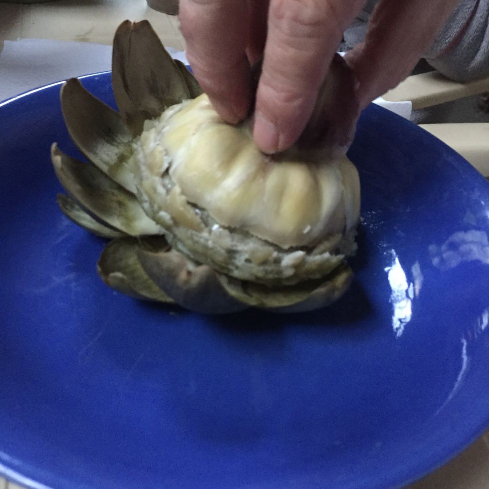 Vers la fin, les feuilles deviennent fines et violac\u00e9es. Pour les manger, tirez les par la pointe qu'elles forment. Tenez-les fermement de mani\u00e8re \u00e0 ce qu'elles viennent toutes en m\u00eame temps.