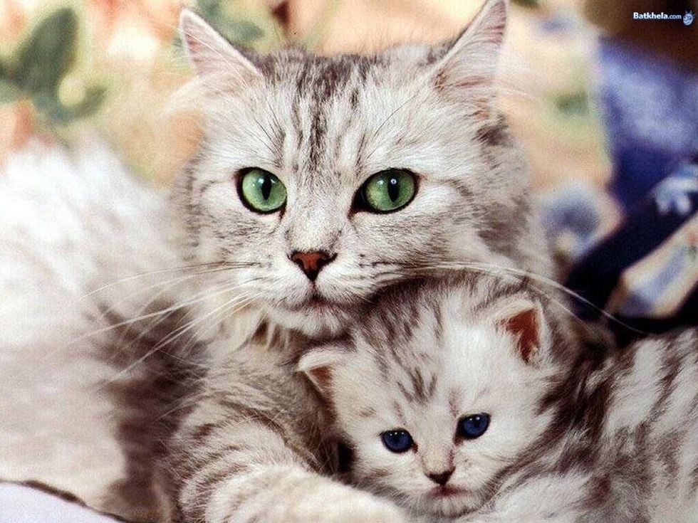 Very first photo