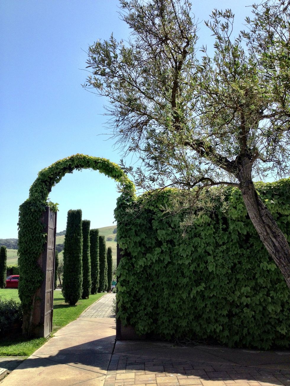 Viansa Winery's grounds are among the most beautiful settings in wine country.