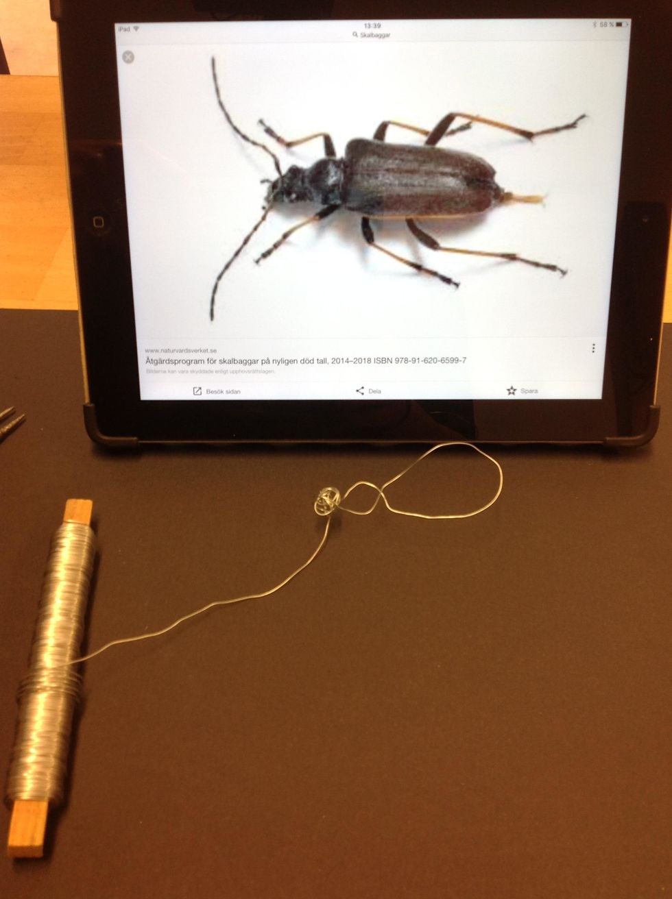 Vira runt i en 8:a s\u00e5 att du f\u00e5r tre kroppsdelar.