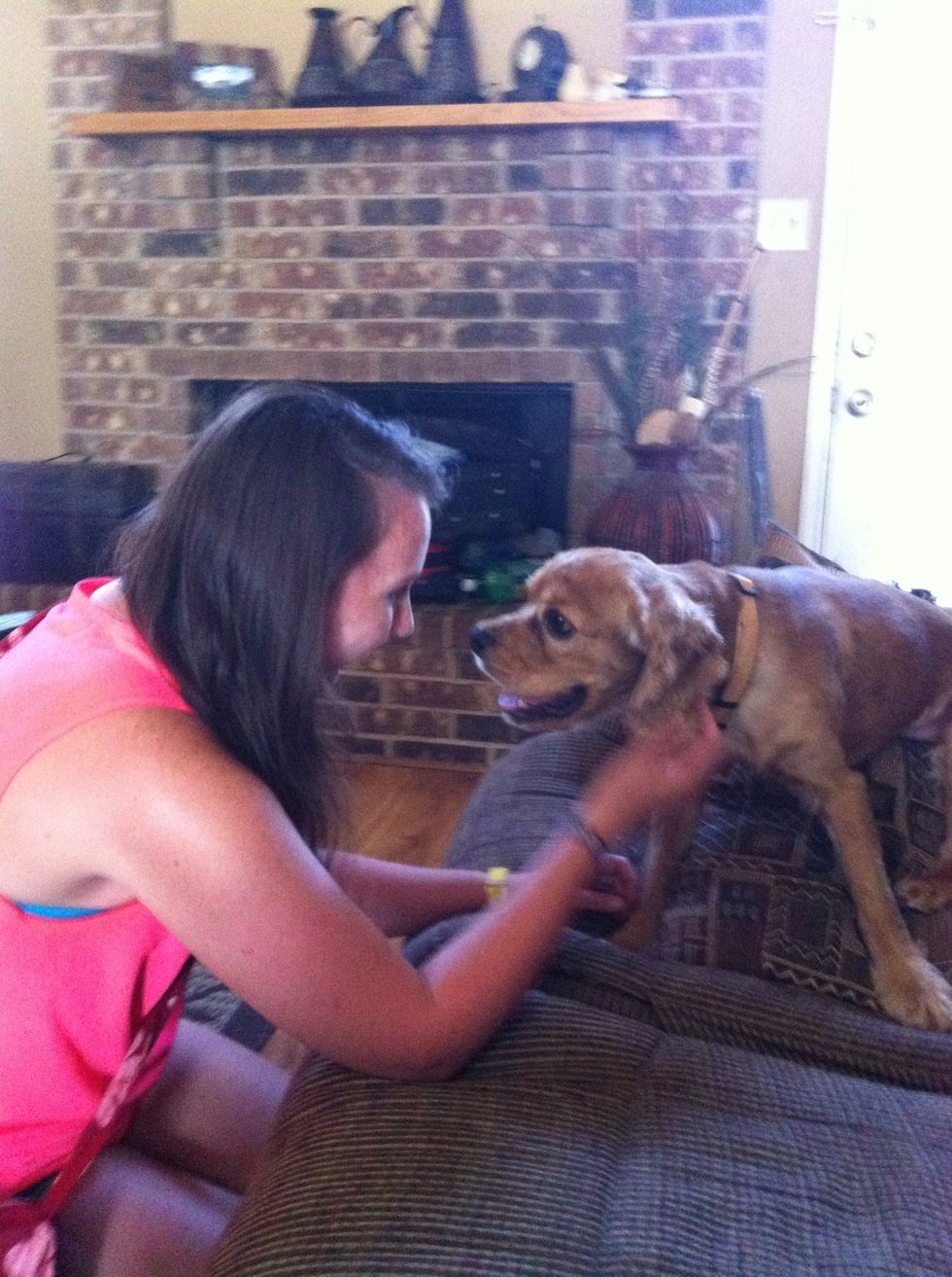 Visit located awesome dog at his foster home and woo him.