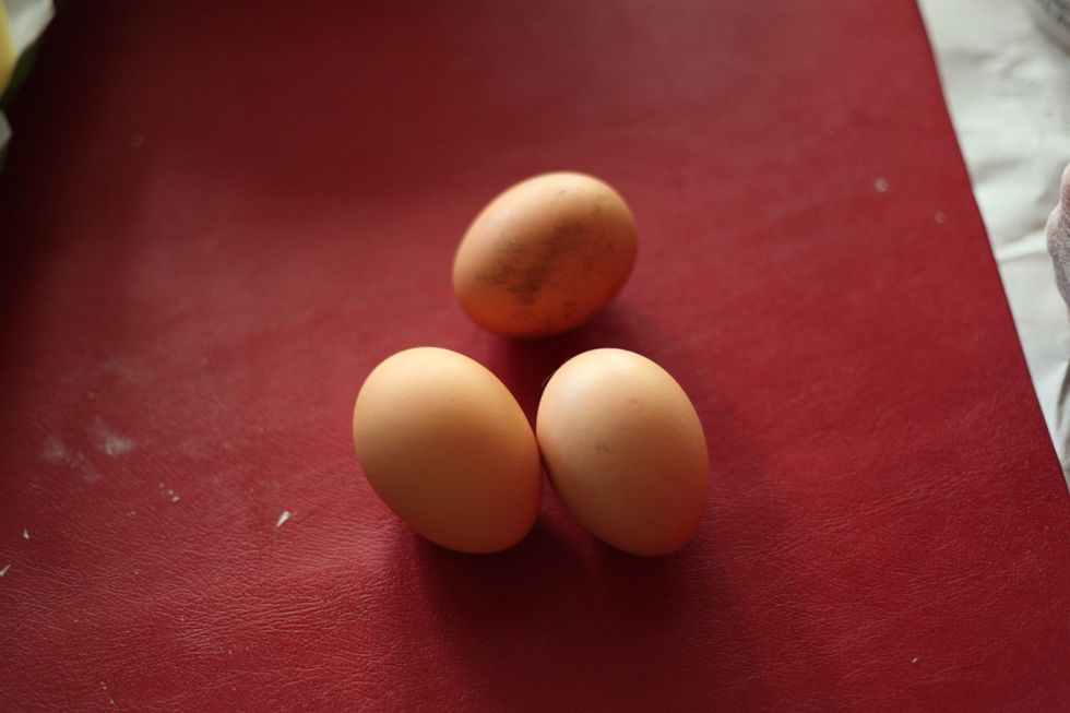 Voila. Nice chickens.