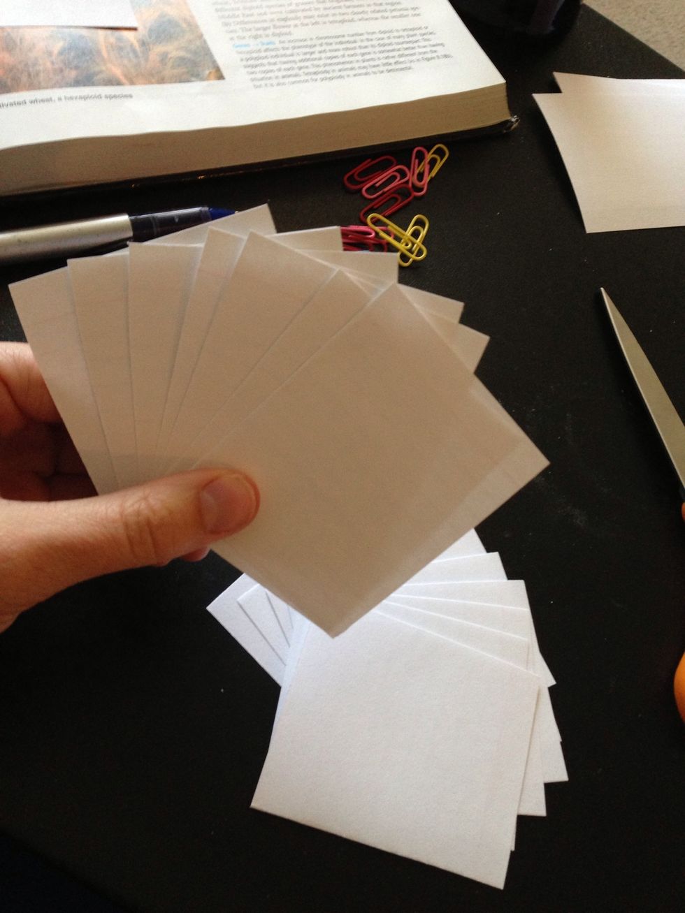 Voila! Now you have twice the amount of note cards than what you started with.