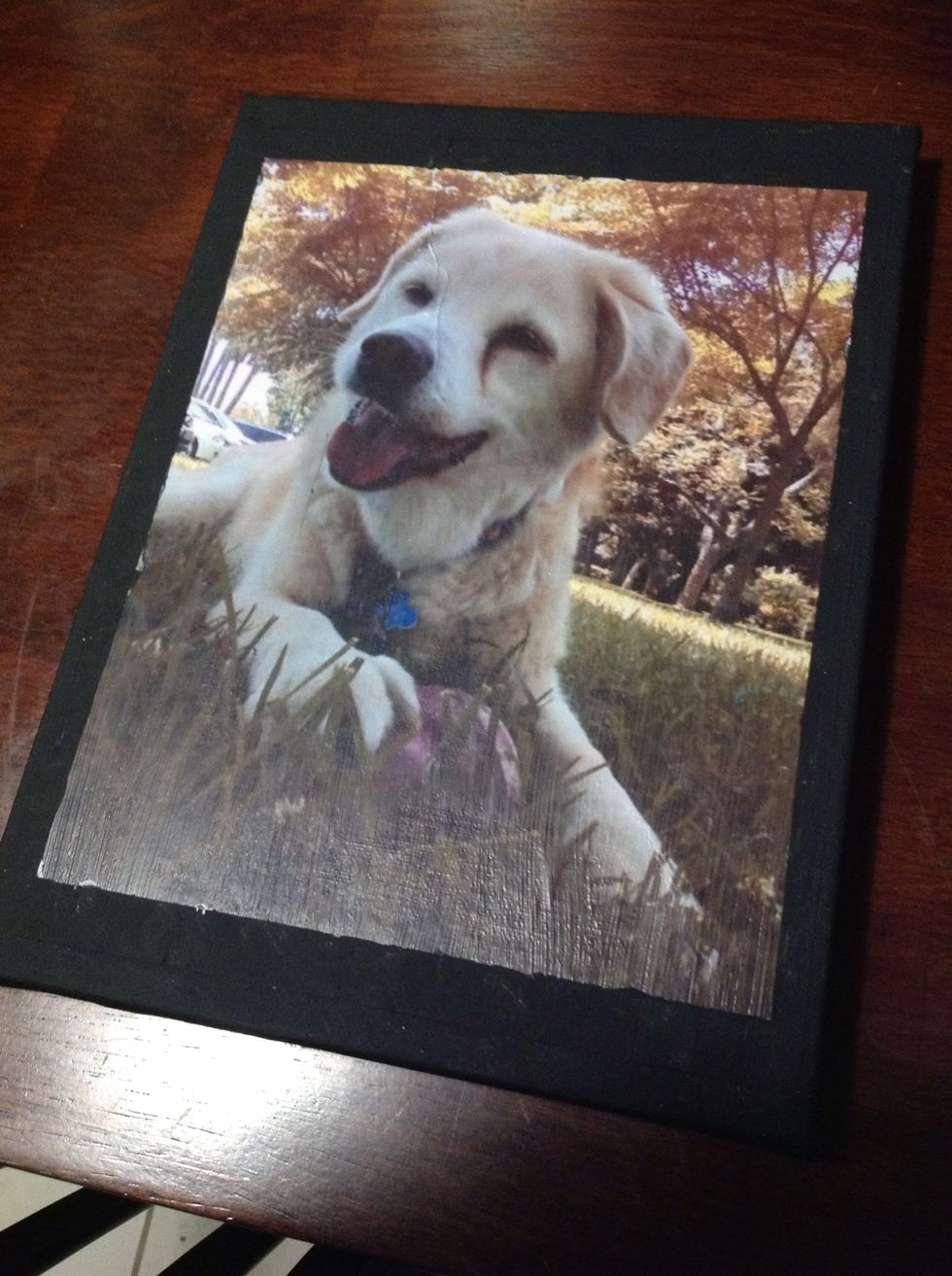 Voila! You've just completed your canvas photo