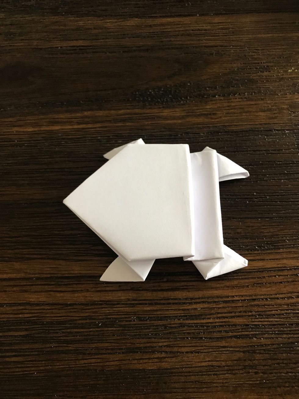 Voila! Your final frog should look like this.