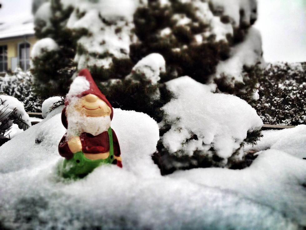 Wait for a cold and freezing day (or night) and put the cups outside for a few hours. Or use your freezer.