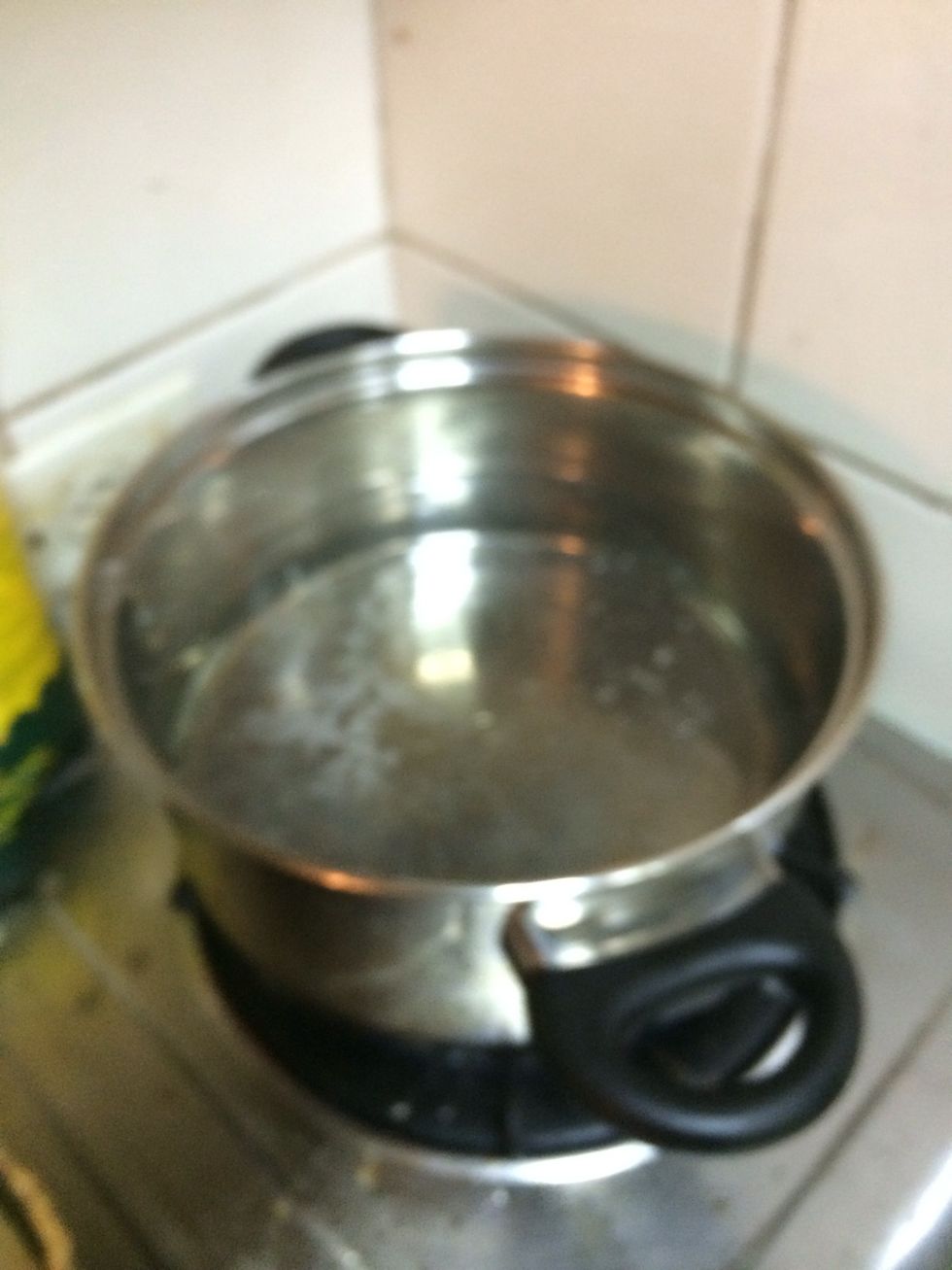 wait until the water boils