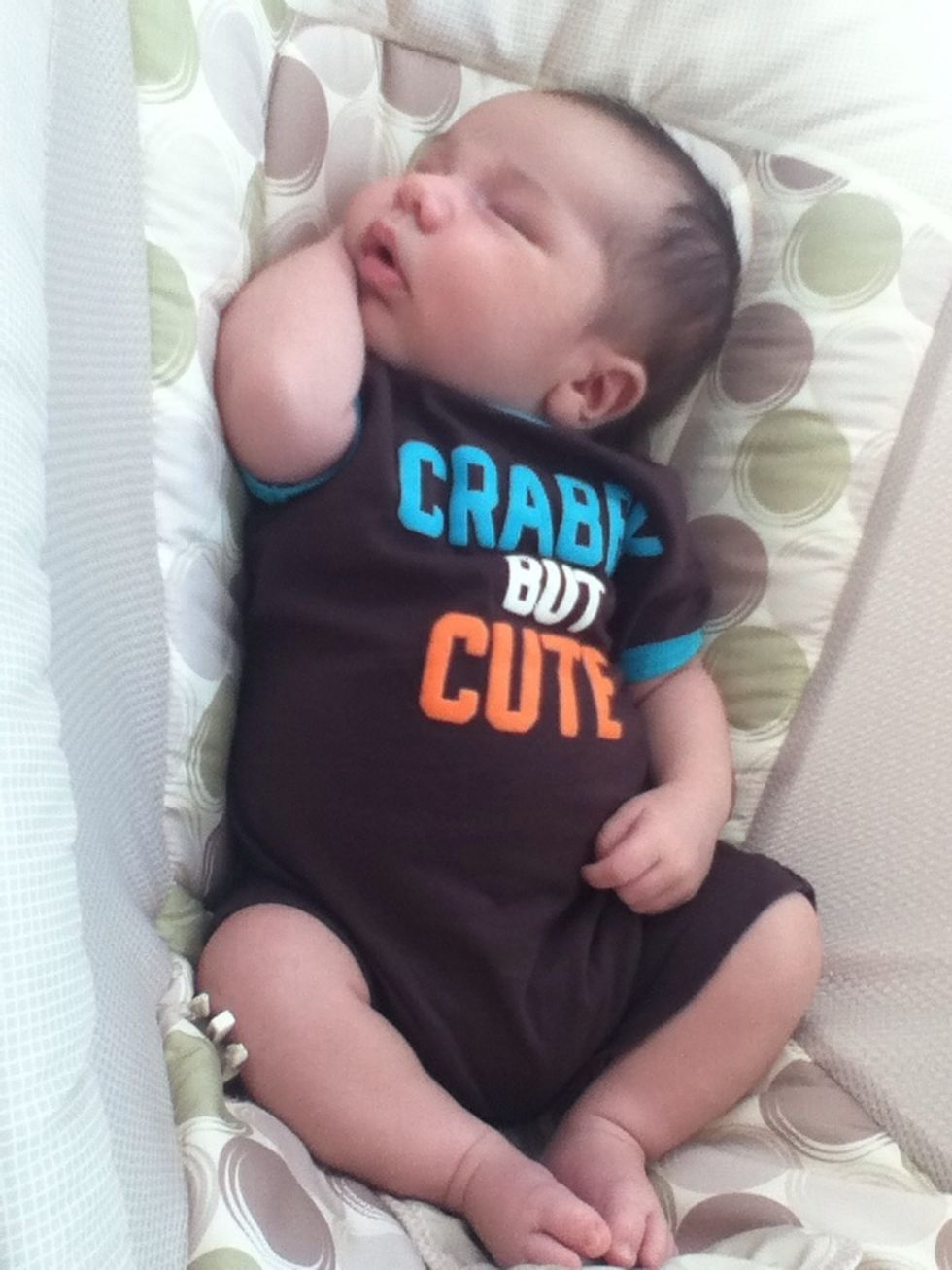 Wait until they are fully cooled. Napping is a good time filler.