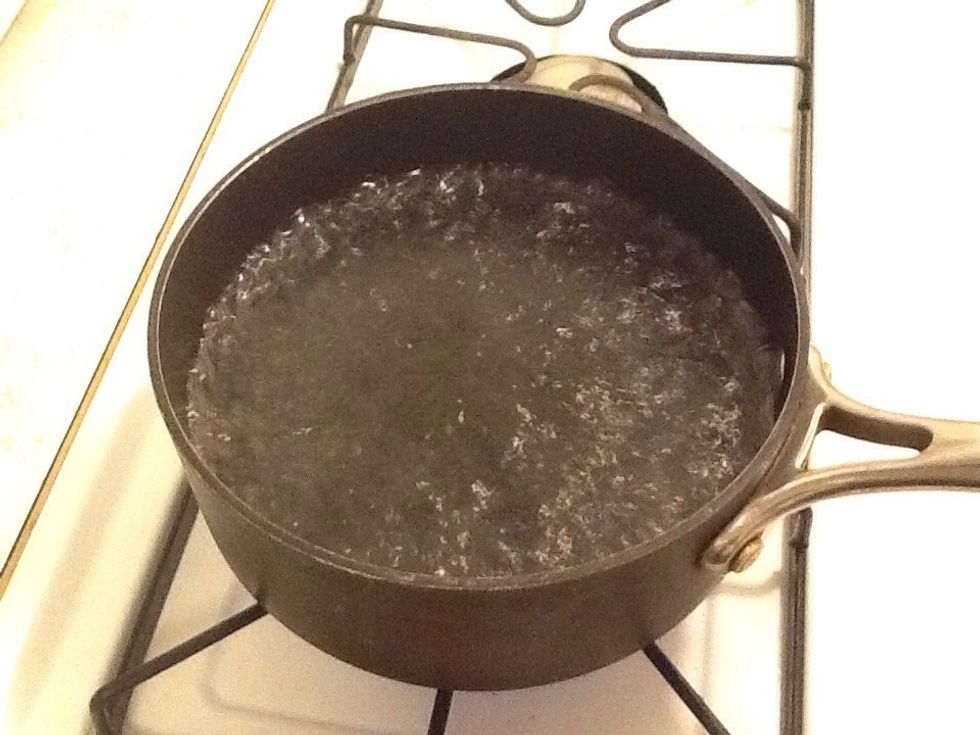 Wait until water is fully boiled