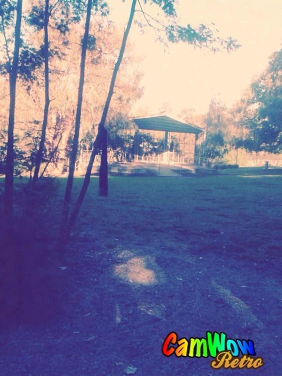 Walk past the playground through the grass areas to find undercover areas