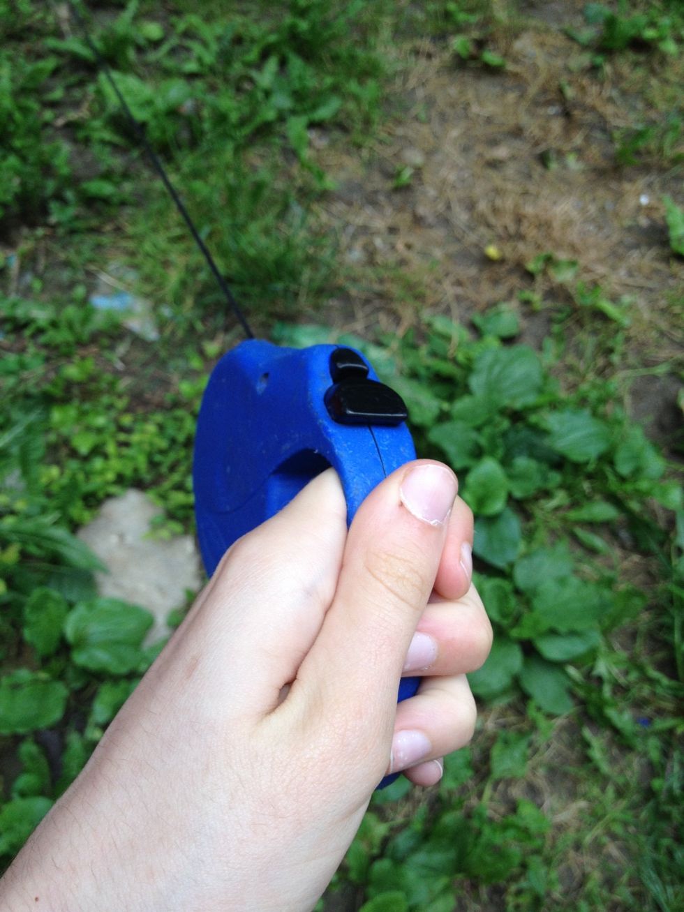 Walk your dog.These little (sometimes) furry creatures will surely make you feel better.