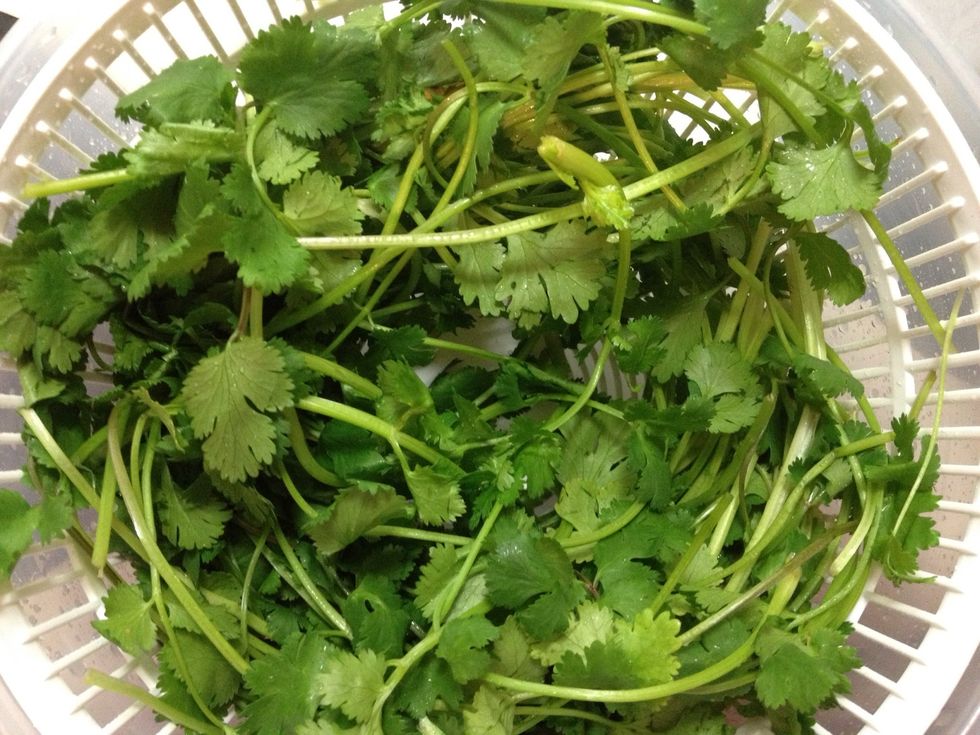 Wash 2 bunches of cilantro