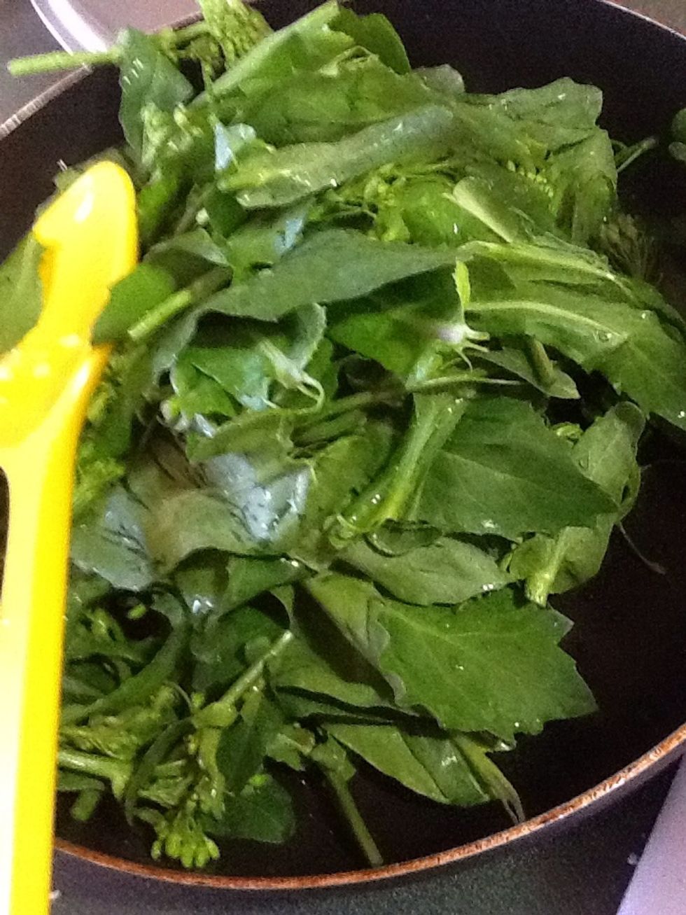 Wash and clean of Italian. Rapine