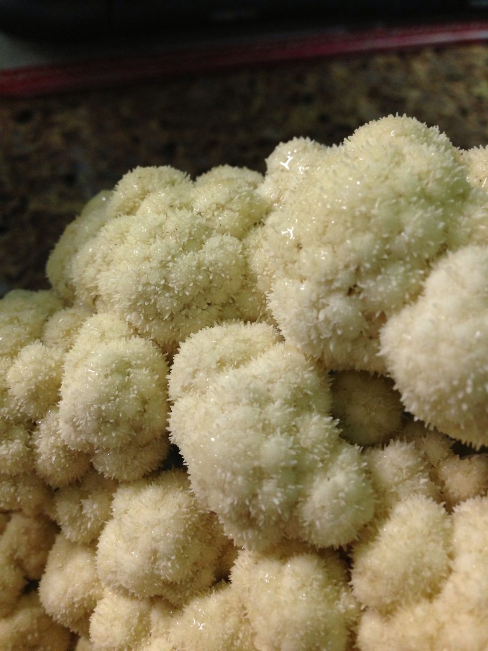Wash and clean the cauliflower.