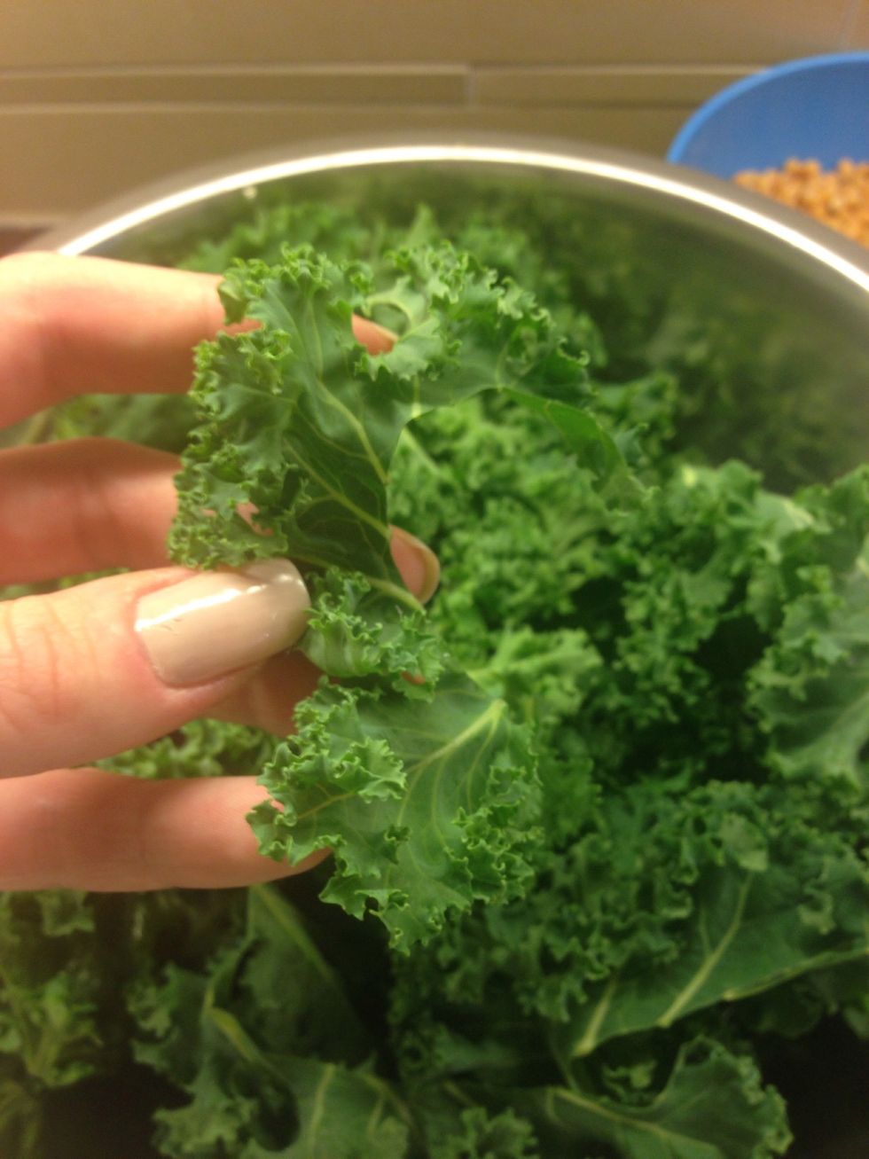 Wash and cut Kale into small pieces. Cut kale off the stem and throw stems out.