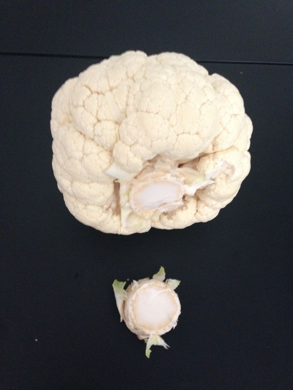 Wash and cut the base so it will sit on the tray