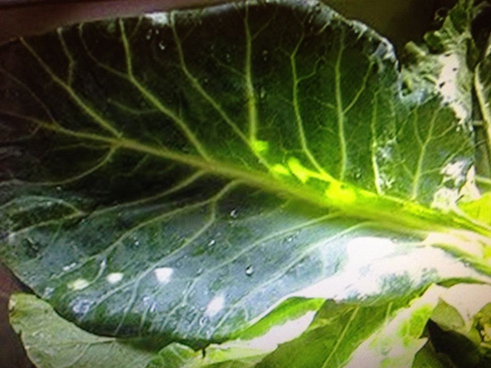 Wash and de-stem the greens, aim to get only the leaf ( do not cut the greens yet simply remove the stems )