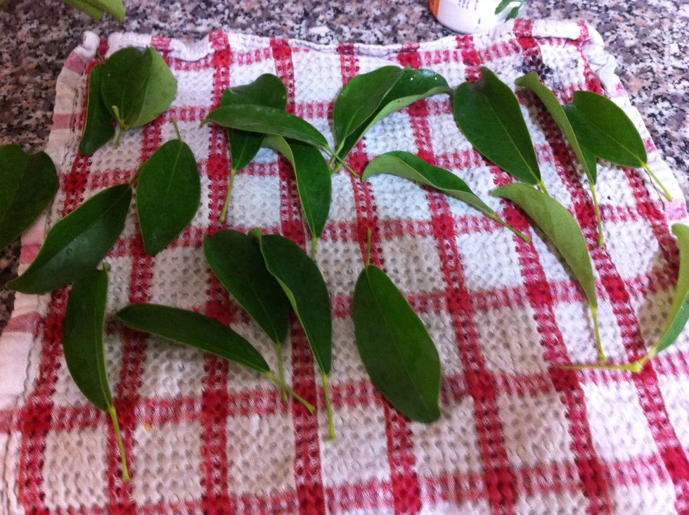 Wash and dry some nice thick green leaves. If you have floral spray give them a nice shine. Make sure they are dry before you start working.