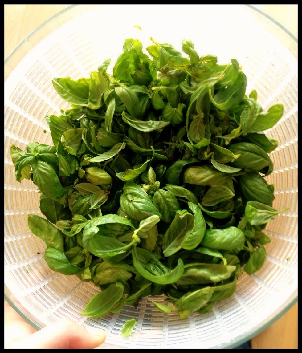 Wash and dry the basil. I have a lettuce spinner to make this process much easier.