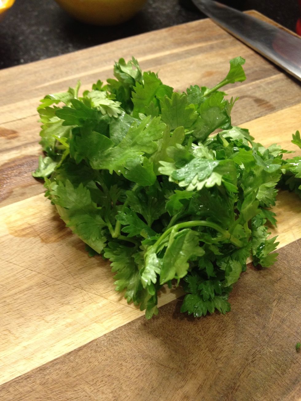 Wash and pick the cilantro leaves