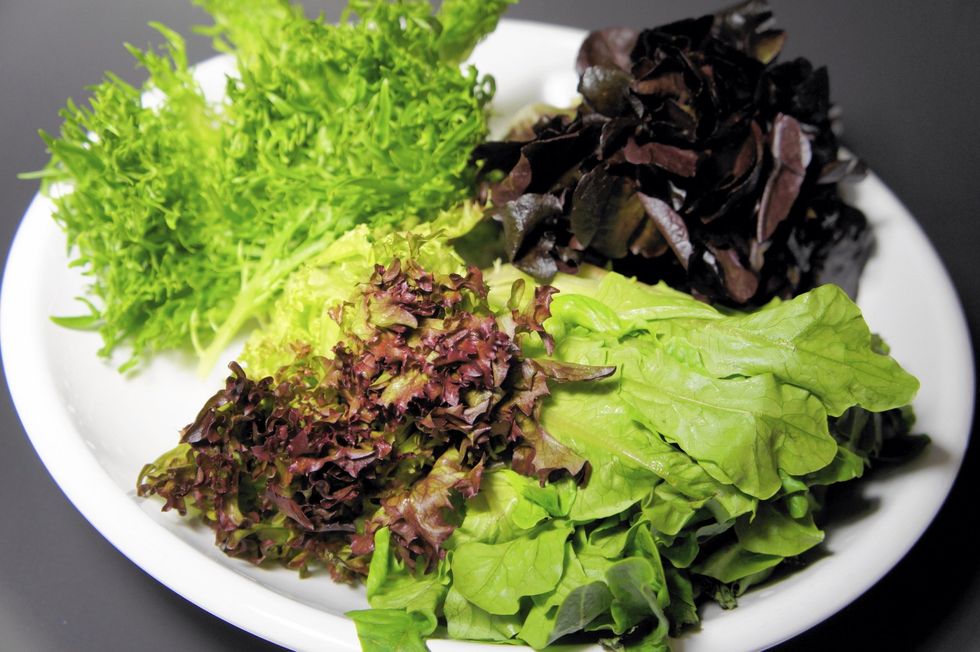 Wash and prepare your lettuce