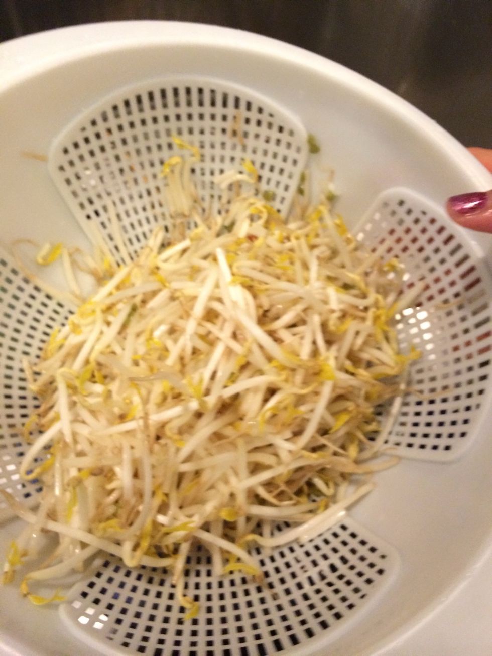 Wash beansprouts.