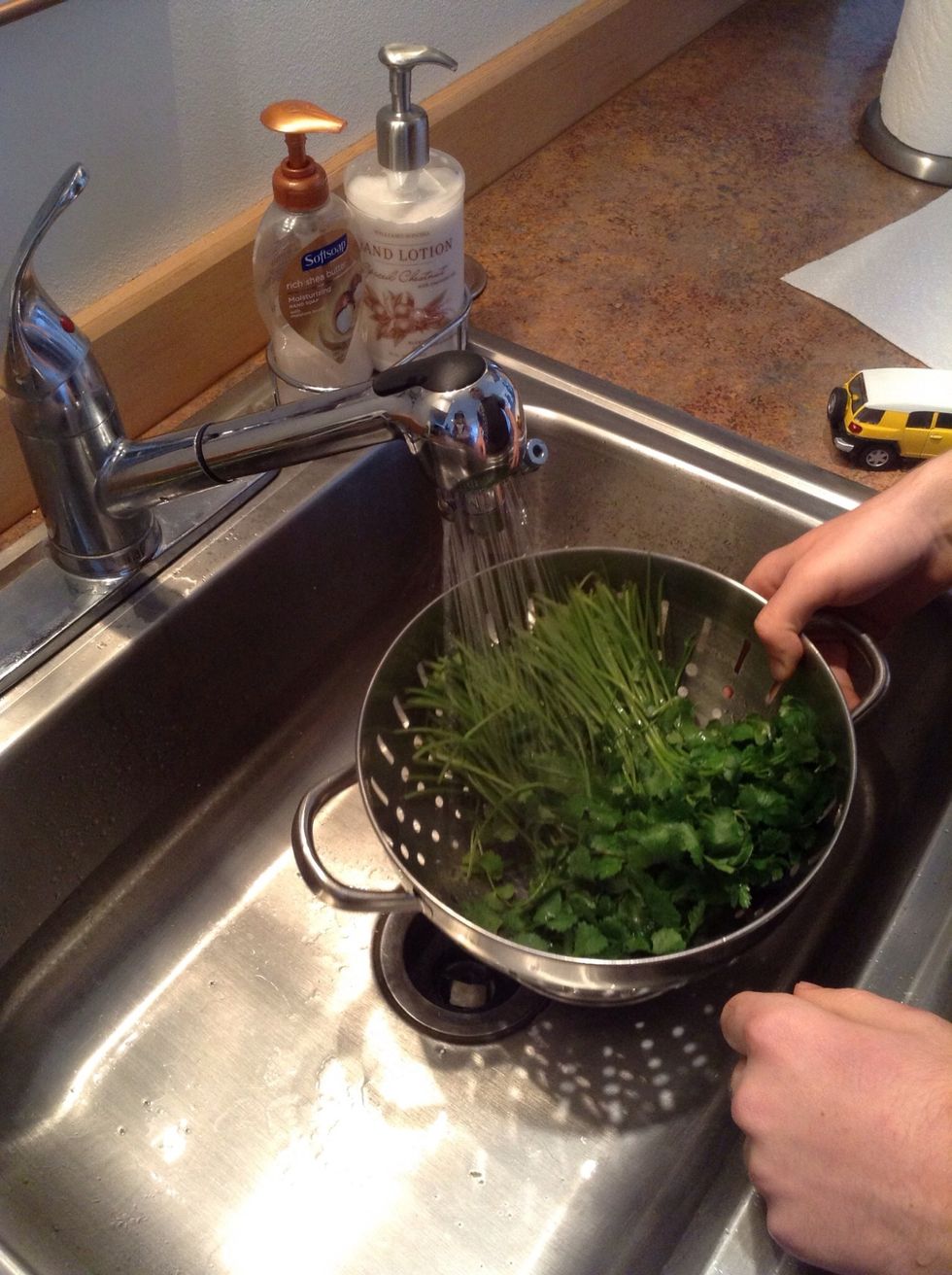 Wash cilantro in sink