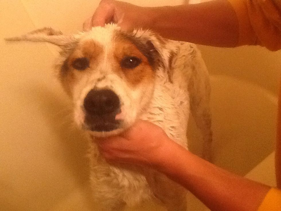 Wash his head...