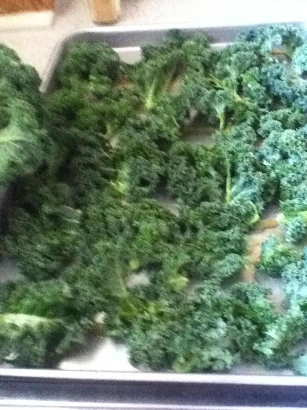 Wash kale and remove stems.  The leaves pull off easily.  The stems are pretty good raw.  They have a sweet flavor.  Cut them up in strips and throw in a salad or just nibble on them.
