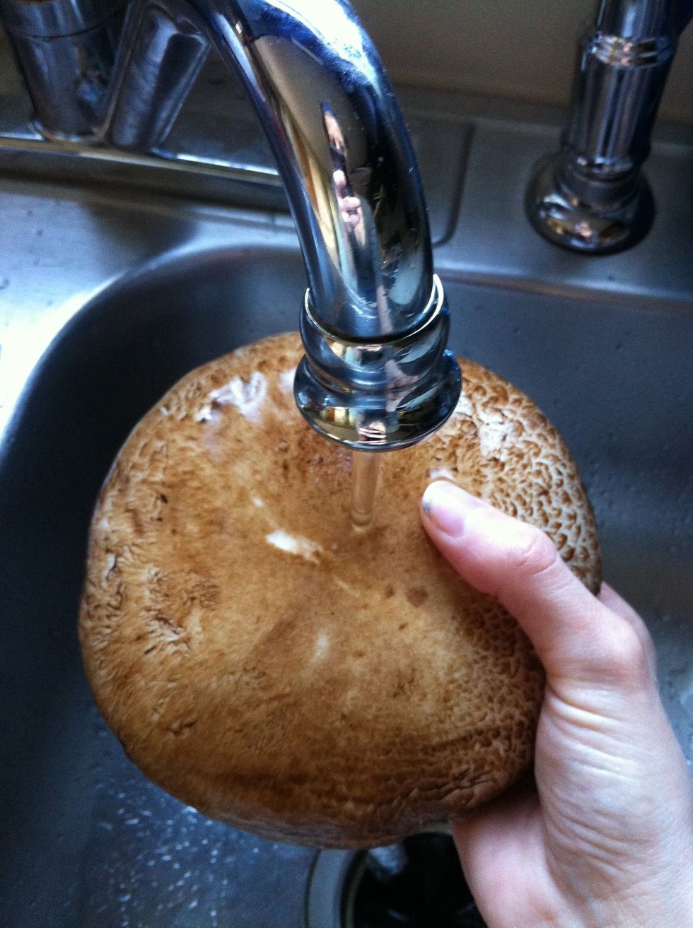 Wash Large Portabella Mushroom