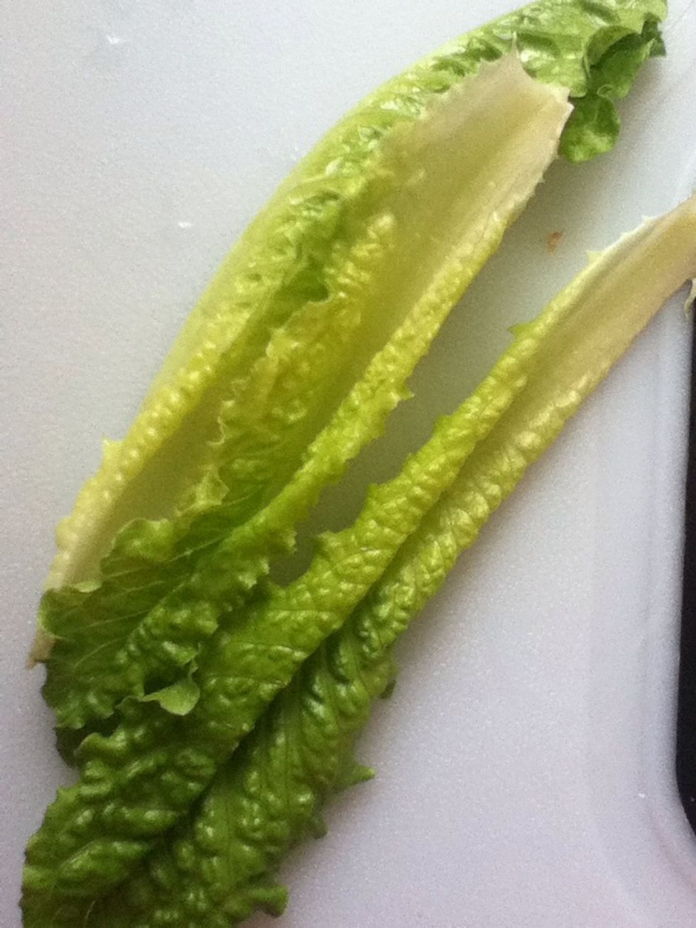 Wash lettuce