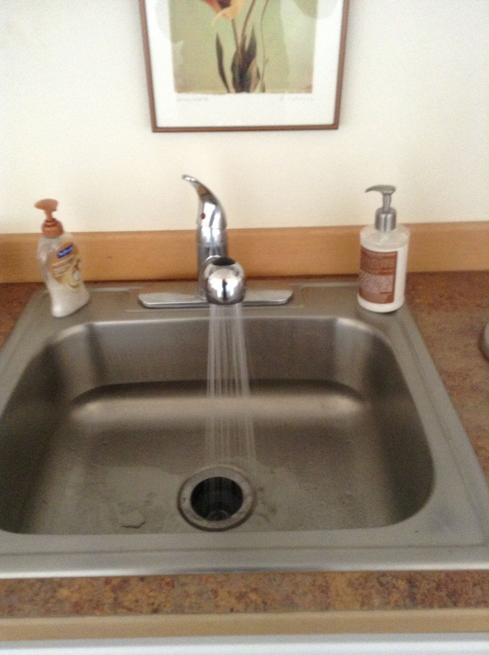 Wash mushrooms in sink