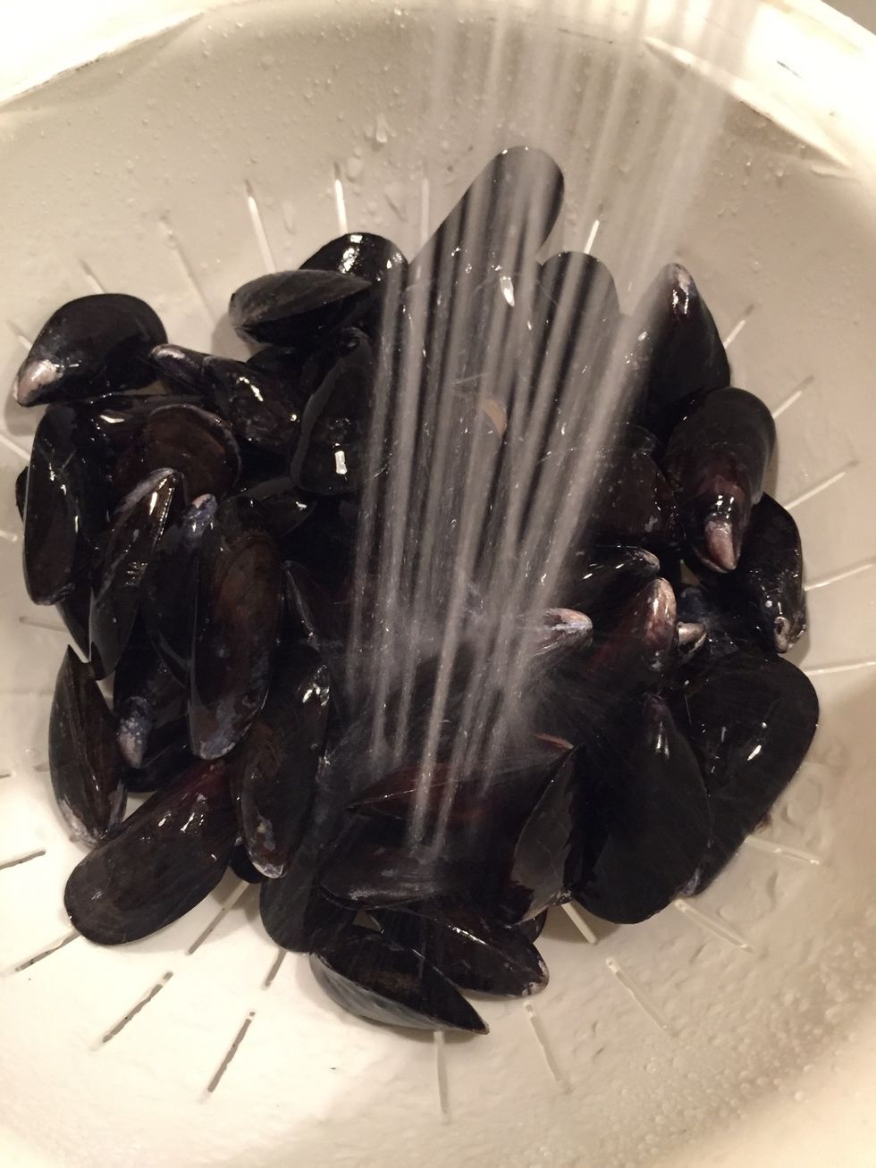 Wash mussels