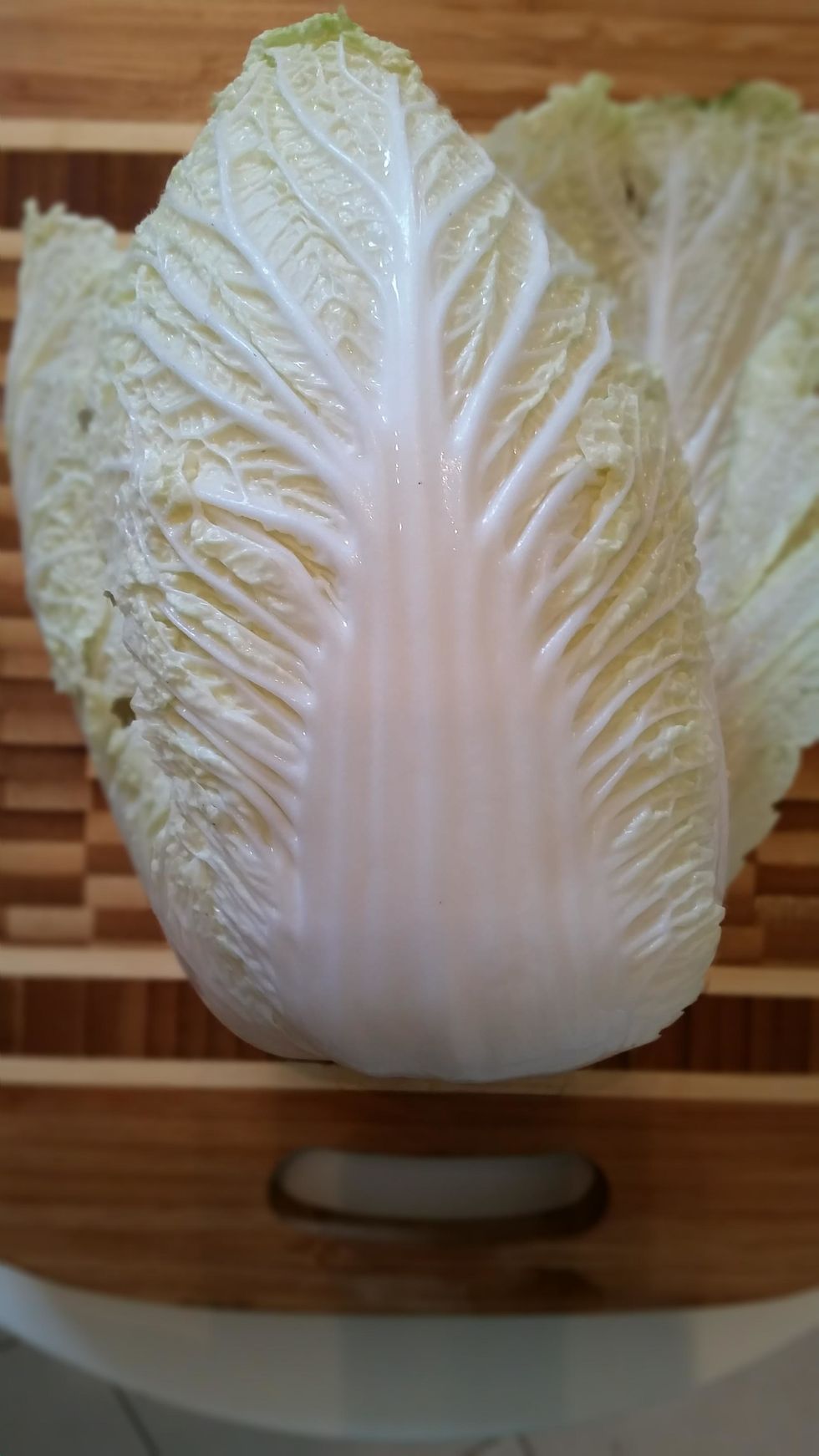 Wash Napa cabbage