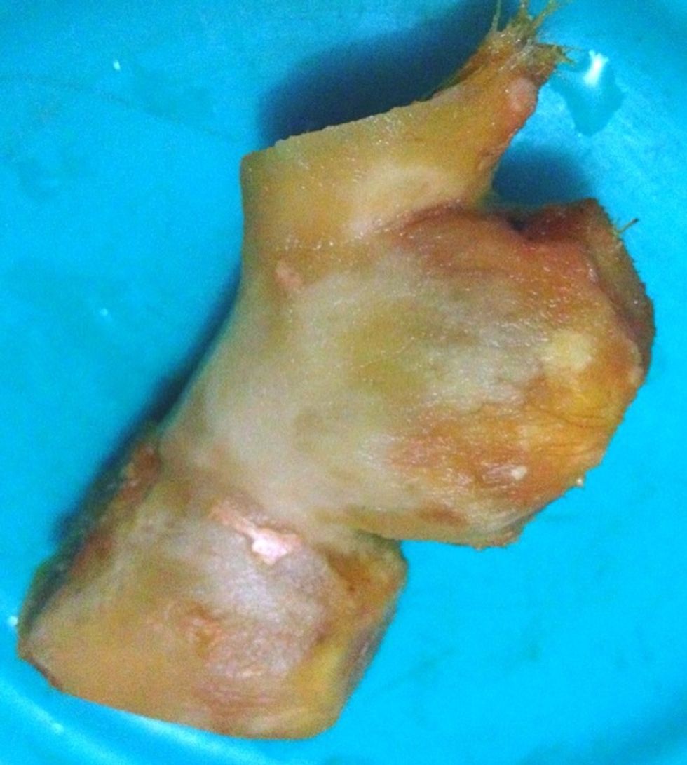 Wash, pat dry and peel: 50gr of fresh ginger. Grated. Set aside