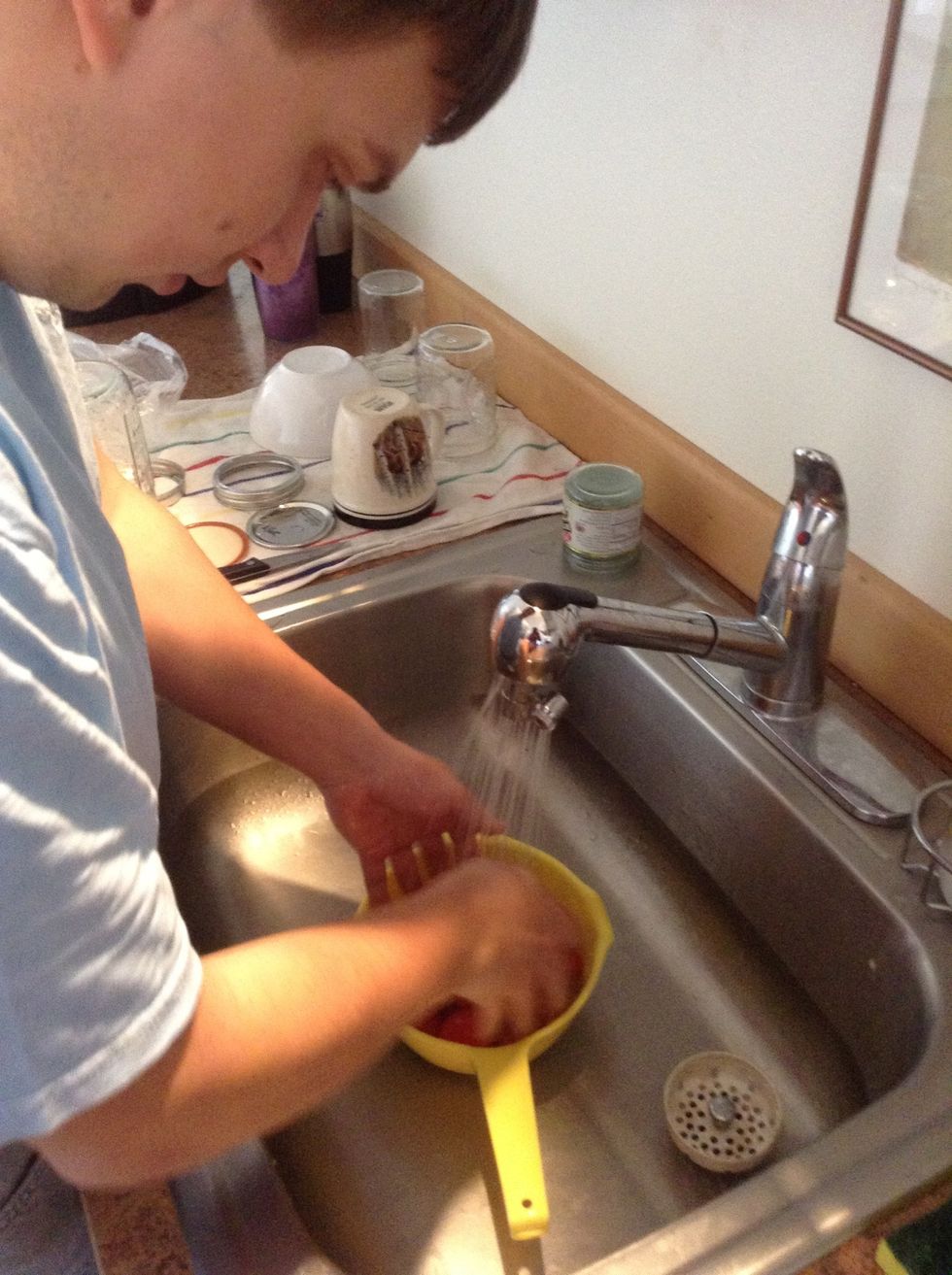 Wash plum tomatoes in sink