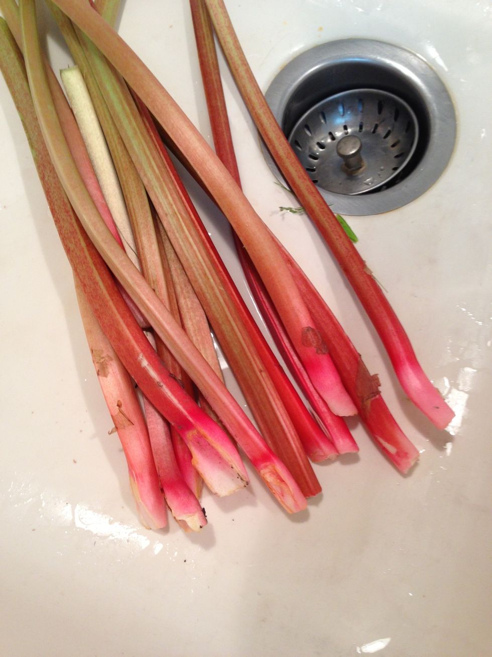 Wash stalks & trim any blemishes.